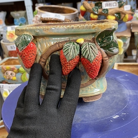 【闪购商品】红陶。