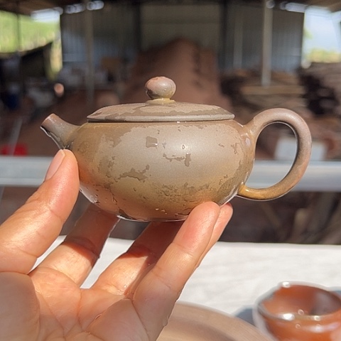 戬谷龙窑柴烧茶壶18