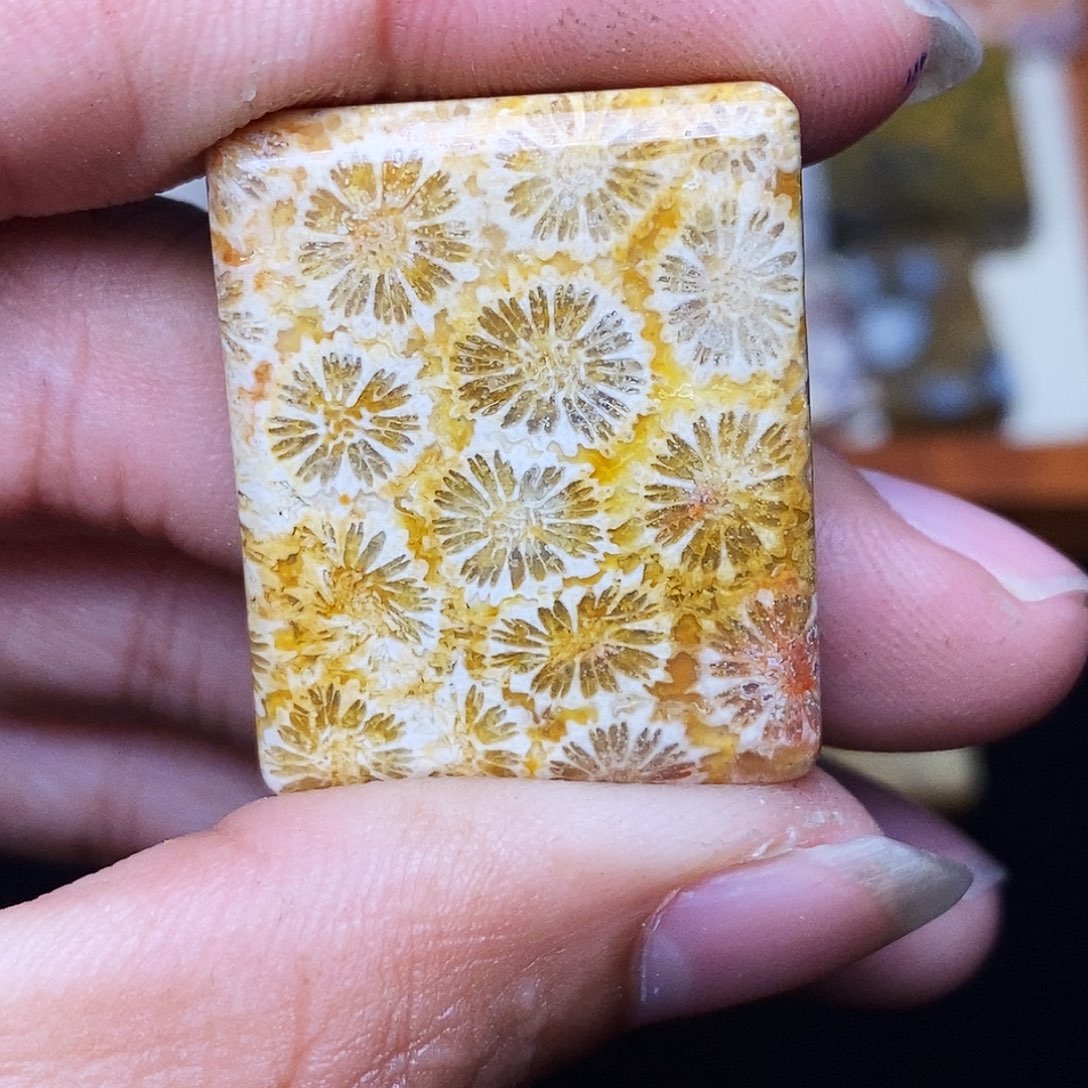 寻***欢硅化玉合金珊瑚玉