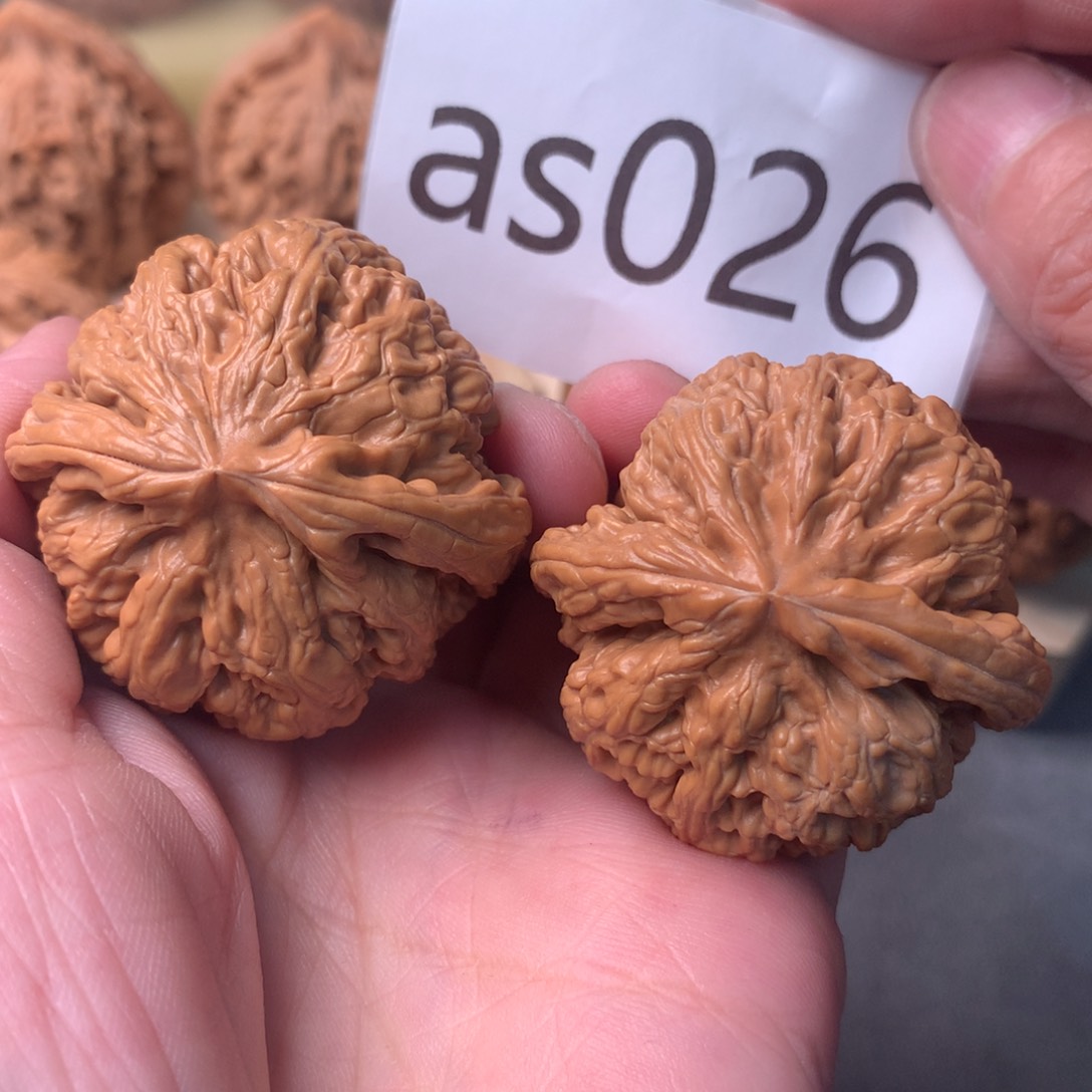 文玩核桃把件肉球粗筋40