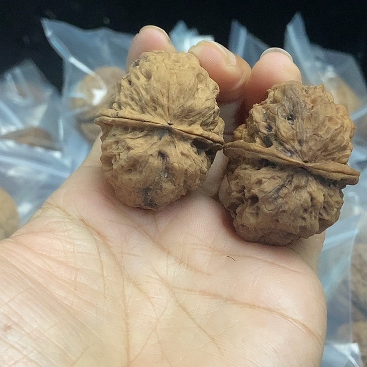 木质类云南铁核桃基地53