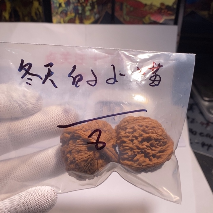 把件文玩核桃冬****?南疆