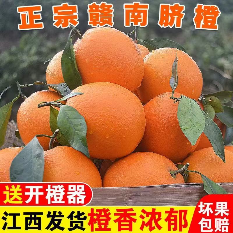正宗江西赣南脐橙产地直发新鲜水果橙子橘子脐橙孕妇特大果批发价