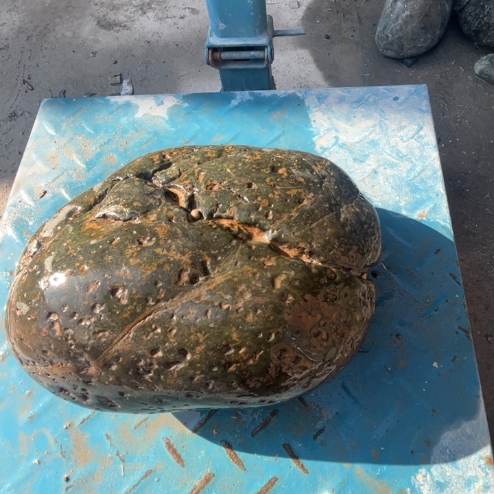 倍***赵蛇纹石玉未镶嵌原石7.5公斤