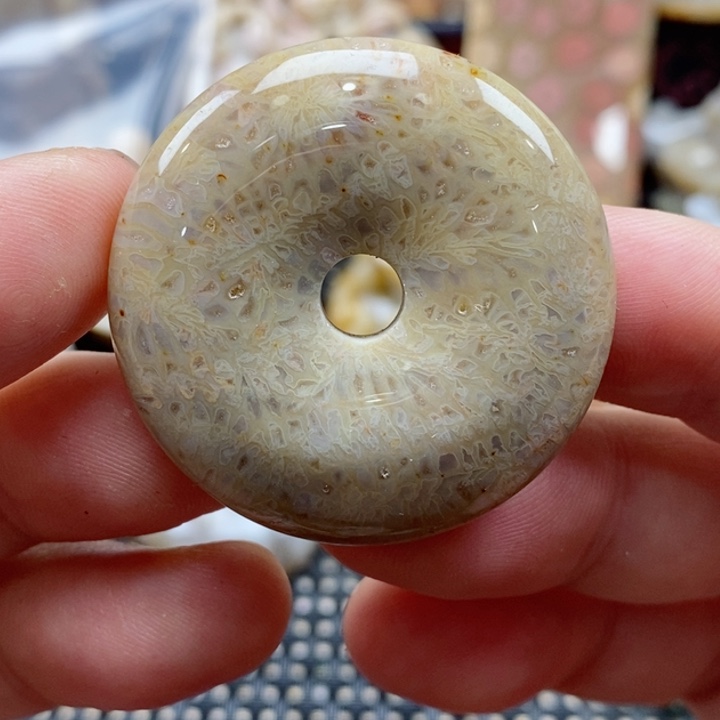 硅化珊瑚（珊瑚玉）颈饰未镶嵌