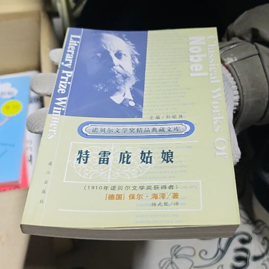 特雷劈姑娘平装库存书