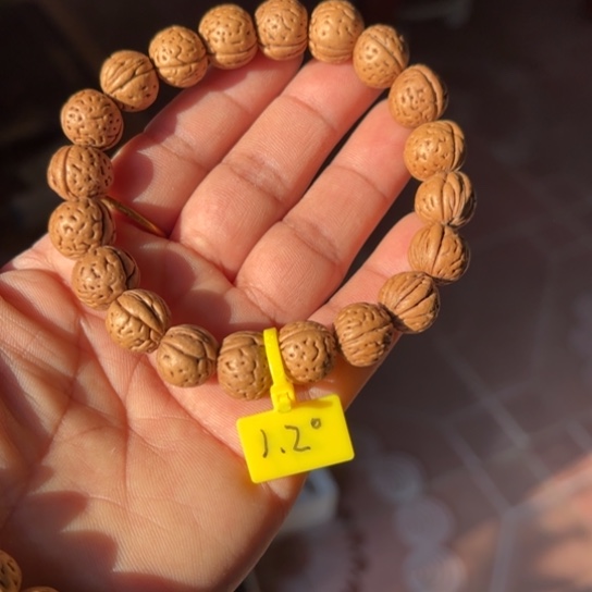 赵***簧木质野生桃核手串