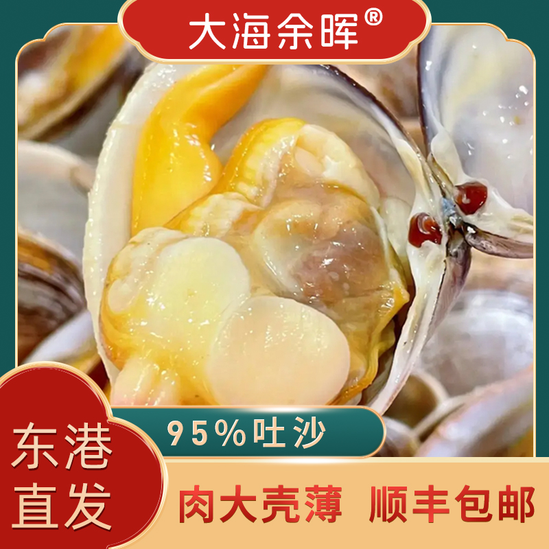 大海余晖精选东港黄蚬子25个头左右3斤个别有沙 介意勿拍