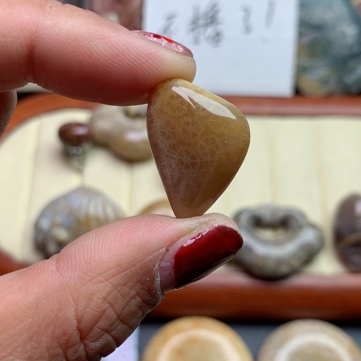 硅化珊瑚（珊瑚玉）颈饰足银镀金镶嵌