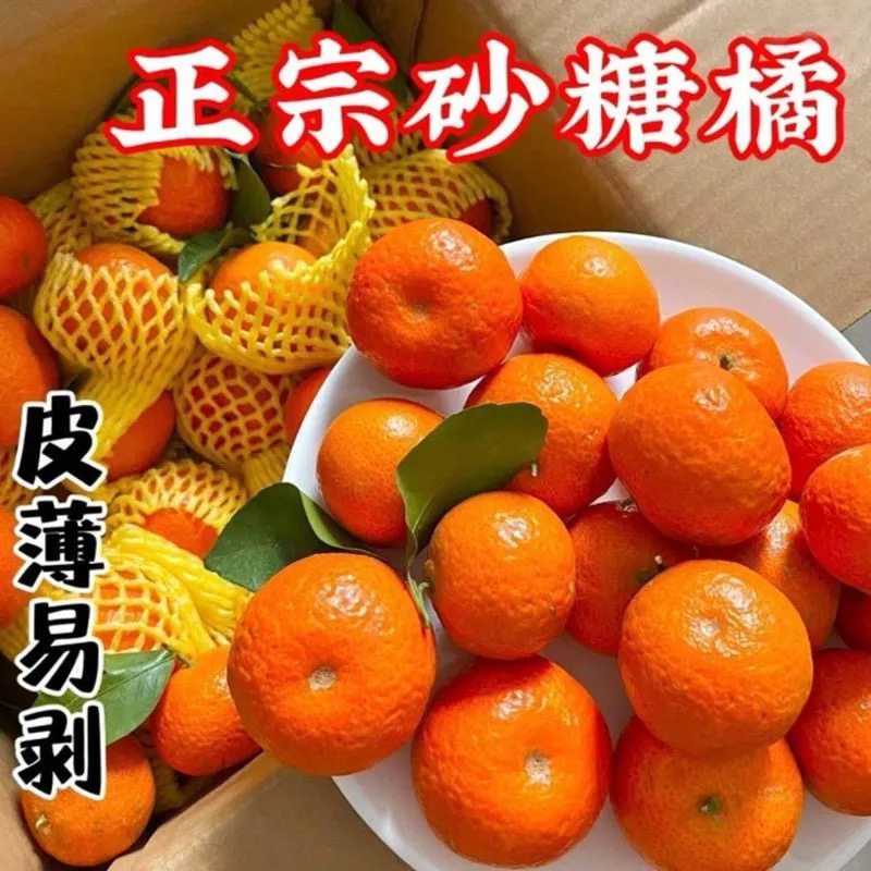 广西正宗沙糖桔新鲜当季水果现摘现发广西壮族自治区