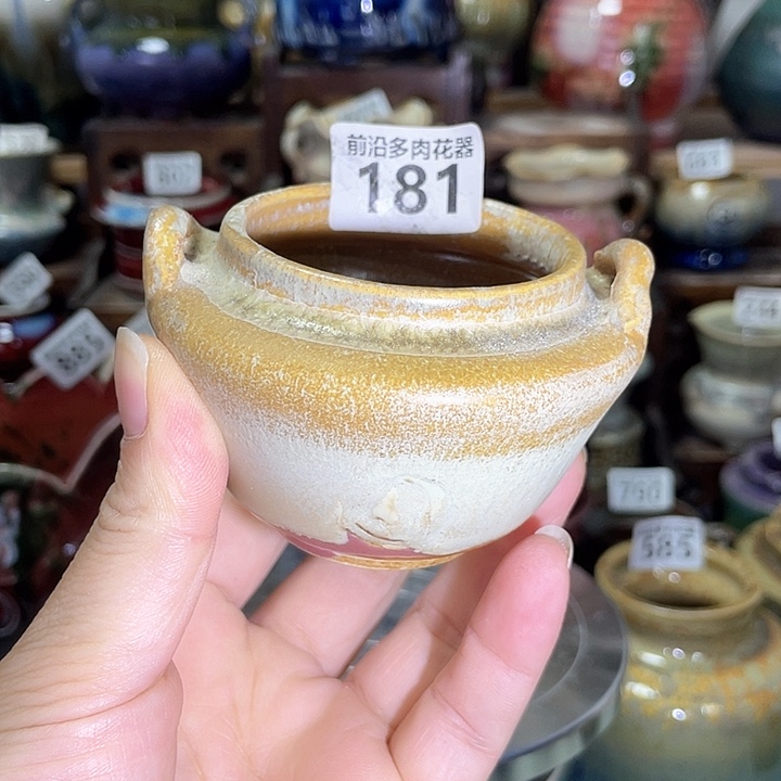 红陶内口径5高度6