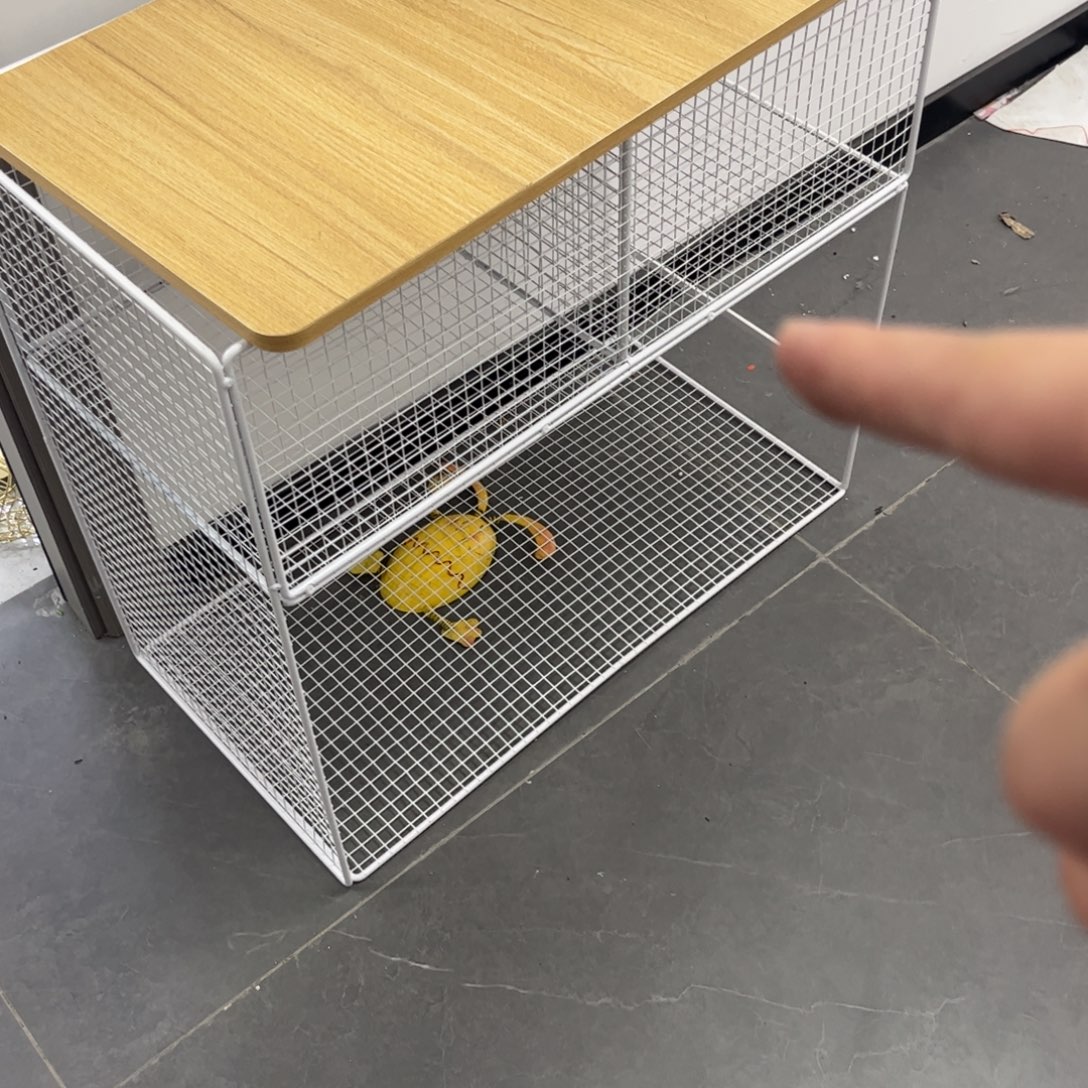 孤品炸炸炸炸炸炸