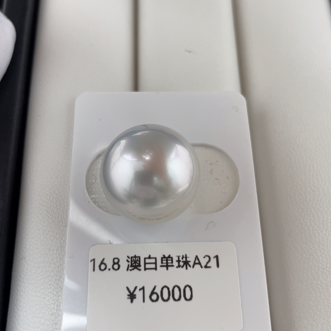 海水珍珠裸珠未镶嵌澳白裸珠16.8mm