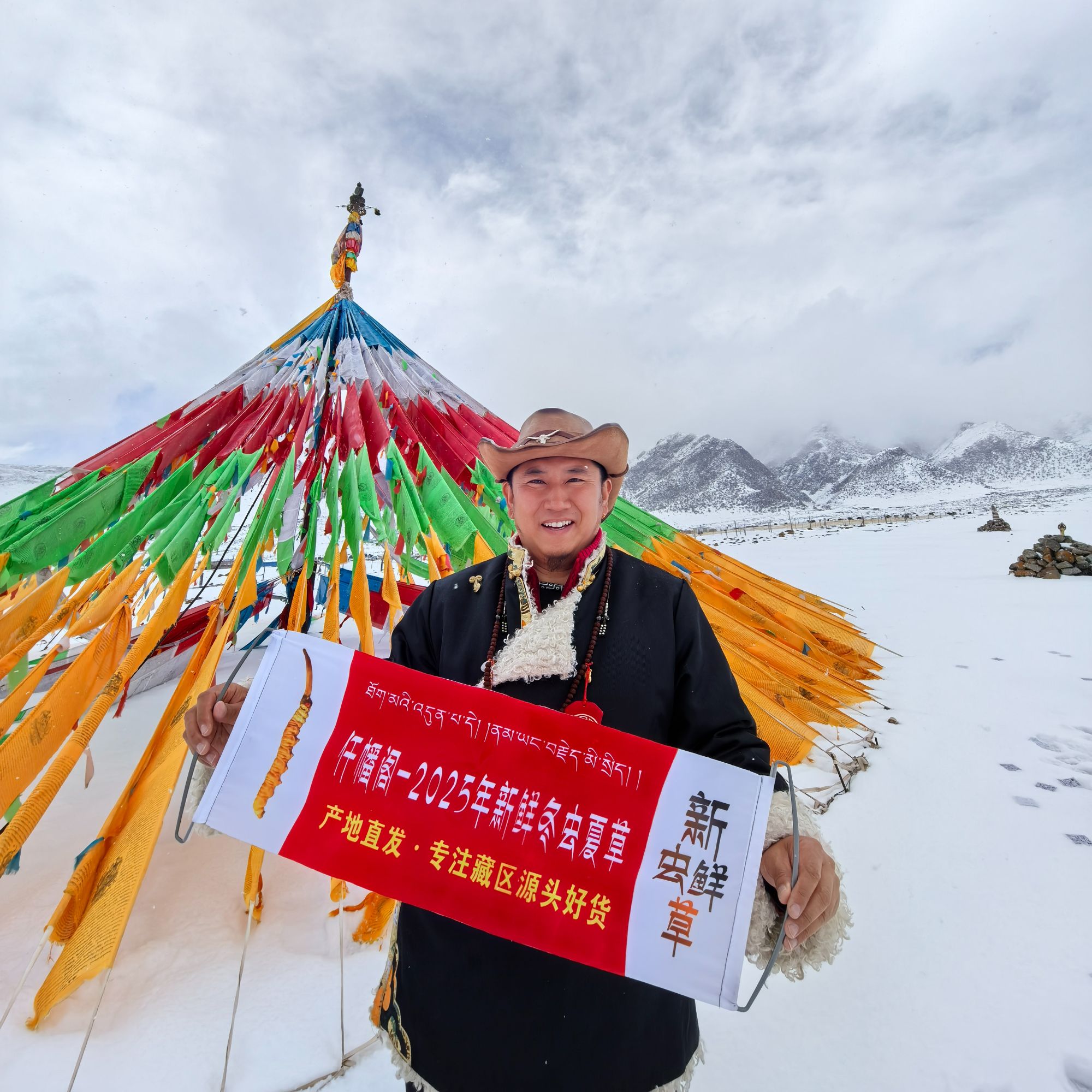 【大额定向链接】新鲜冬虫夏草2025年鲜虫草 现收现发鲜虫草 顺丰