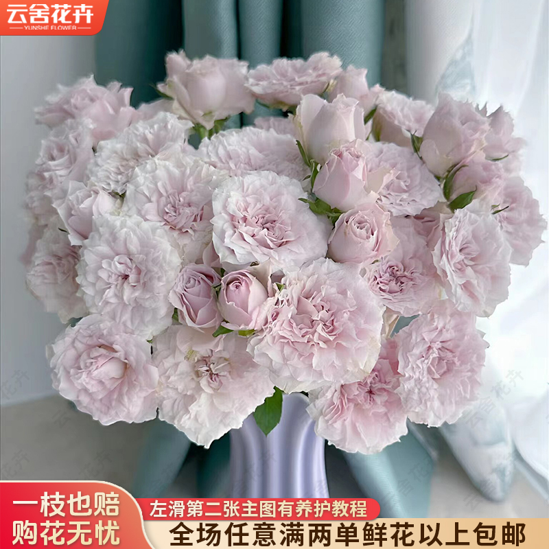 【云舍花卉】【仙女罗拉】多头玫瑰 全场任意满两单及以上鲜花包邮
