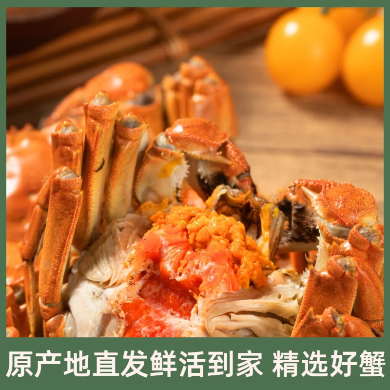 【活蟹】盘锦河蟹 公蟹 1.6-1.4两/只 2斤/3斤 （16-24只）鲜活发货
