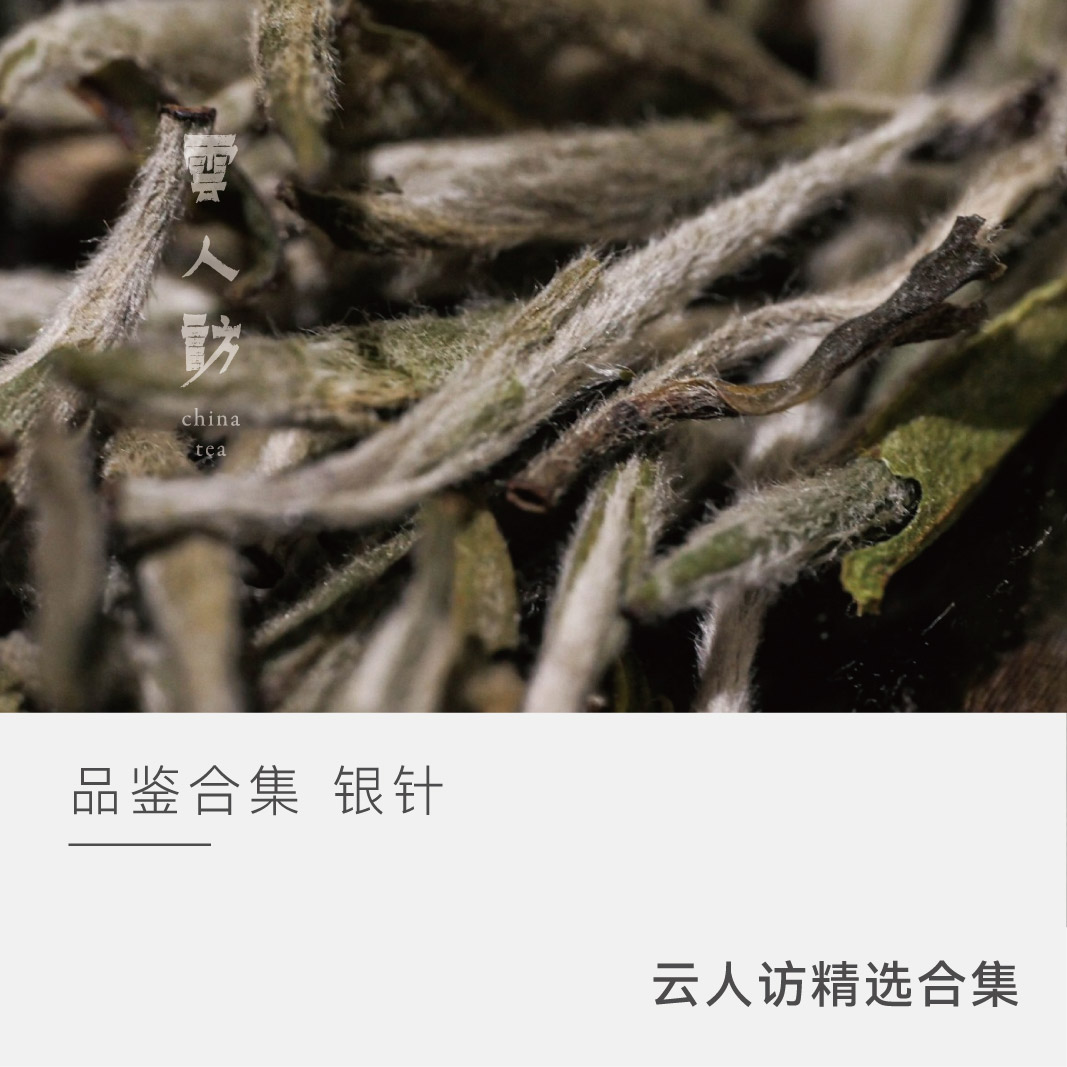 品鉴合集 银针2022/2021/2020/2018非有机+2016欧盟认证有机茶园