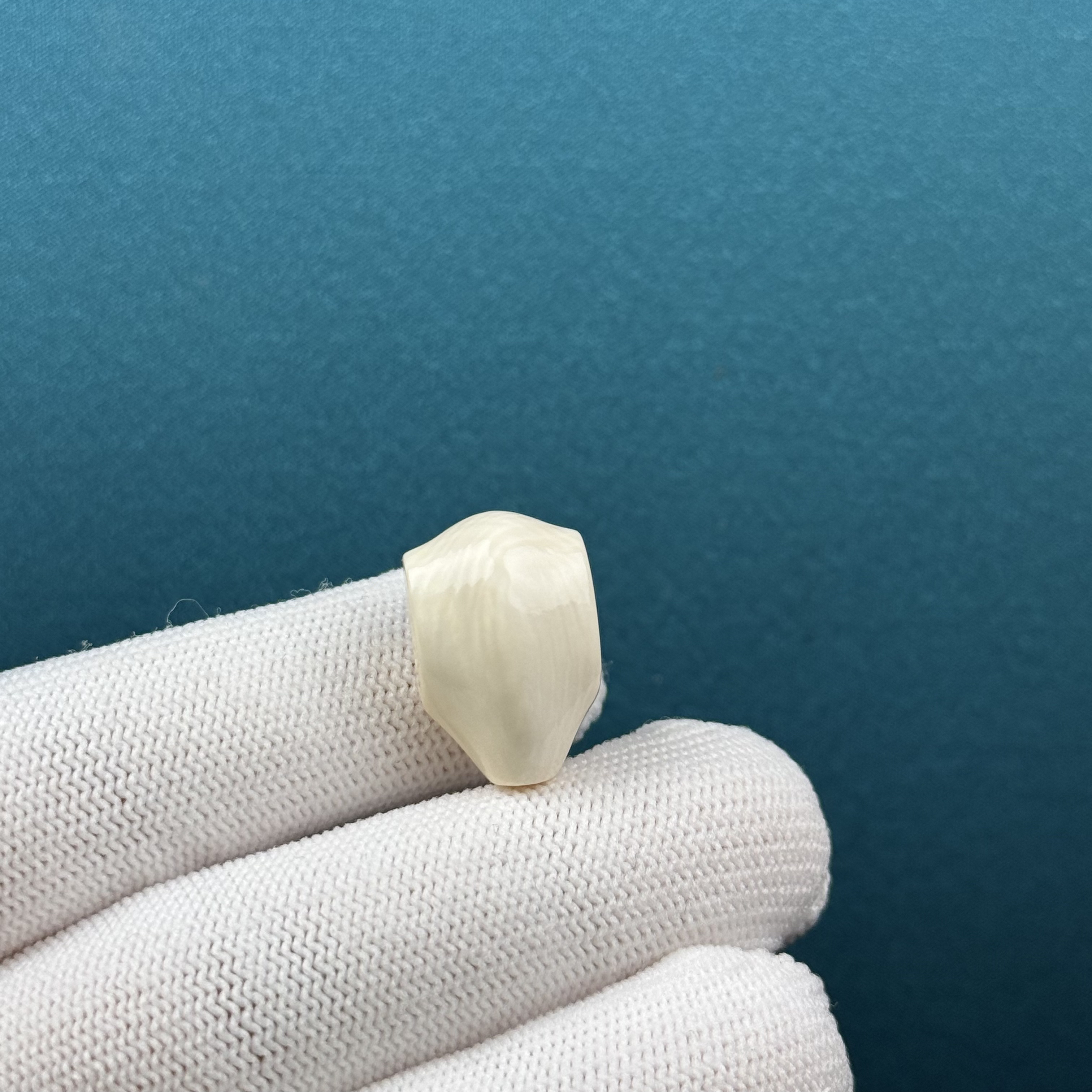 D85-51天然猛犸牙 鲨鱼背三通 13*19.6*12.4mm支持复检假一罚十