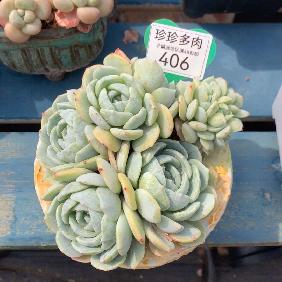 劳林朵朵缀女神节福利406