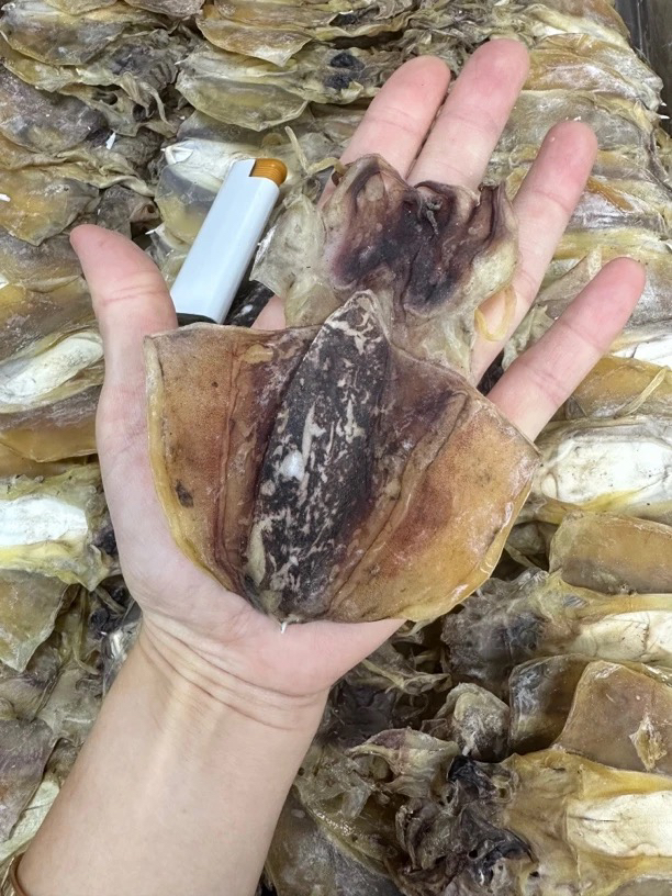 中号墨鱼干煲汤鲜甜的海产品干货