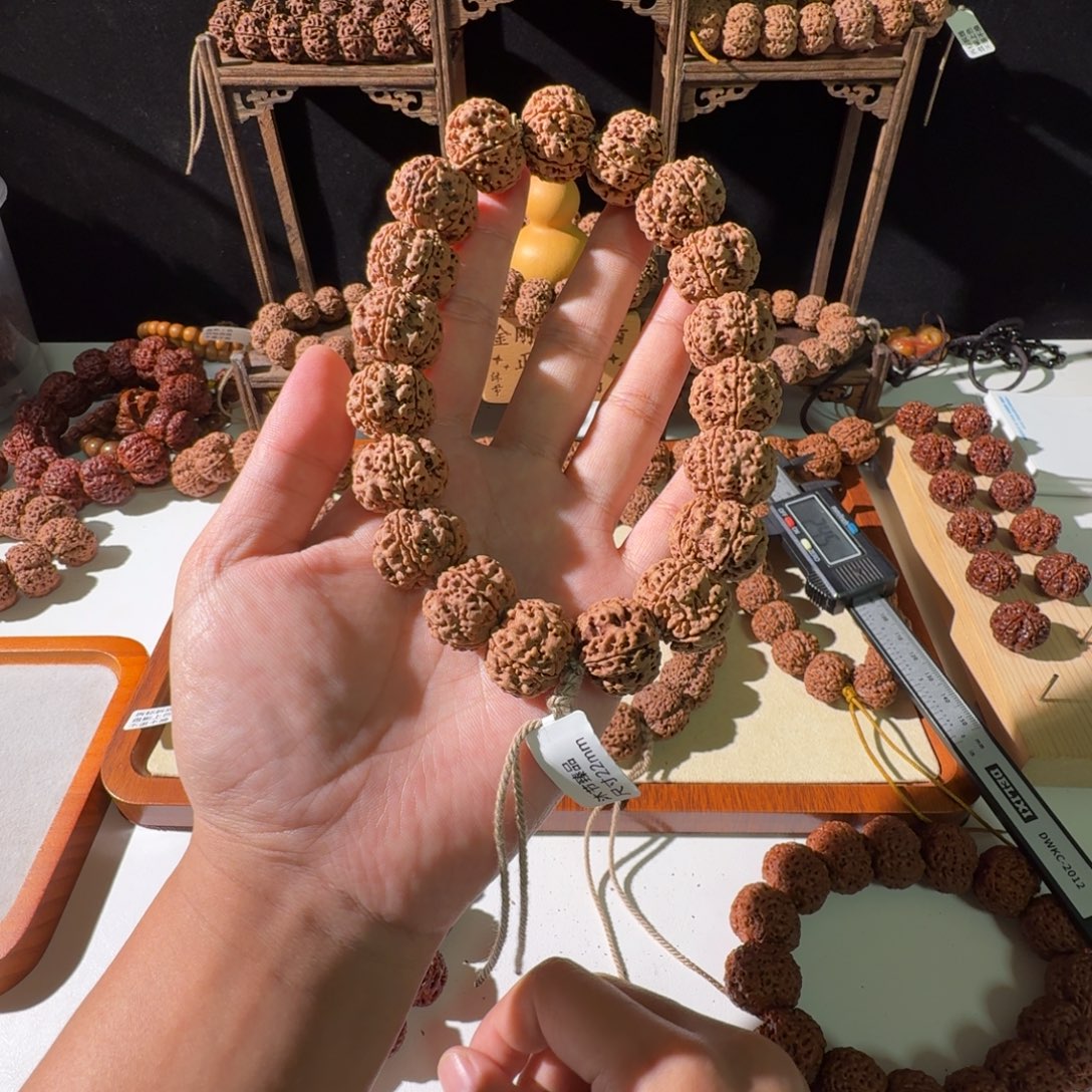 手串金刚菩提22尺寸原生态