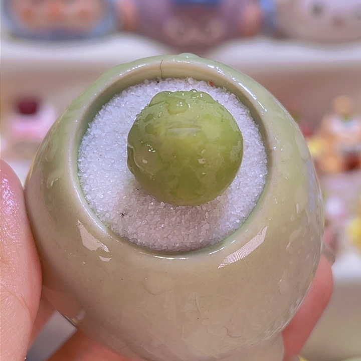 02鸽子蛋连盆带土包邮