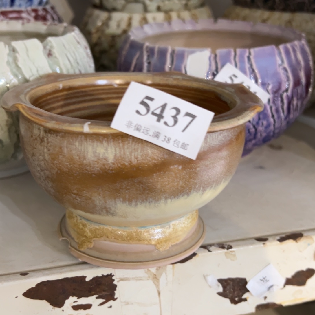 红陶景德镇…………景德镇