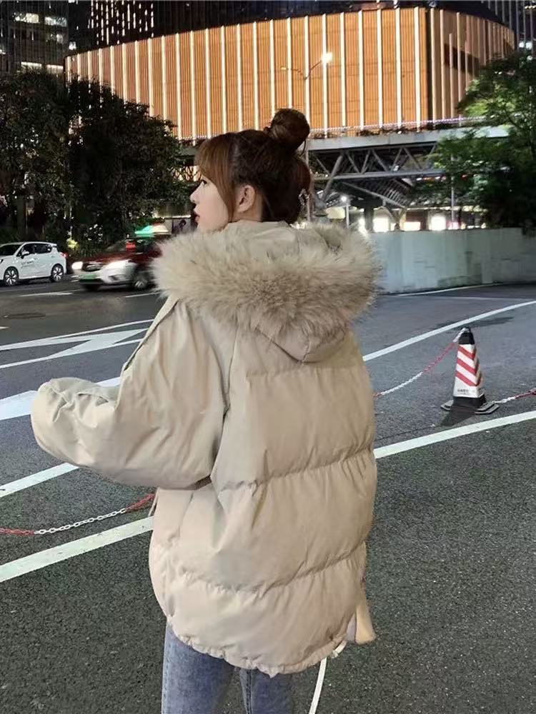 D1601-D1700【按主播过款编码下单】时尚女装连衣裙【非图片】