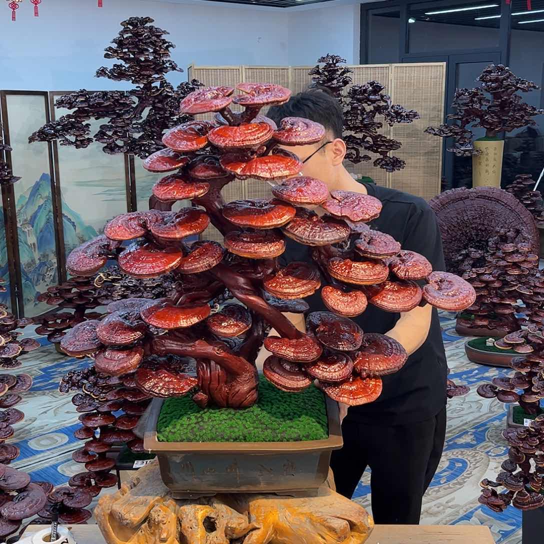 888888888888888888888