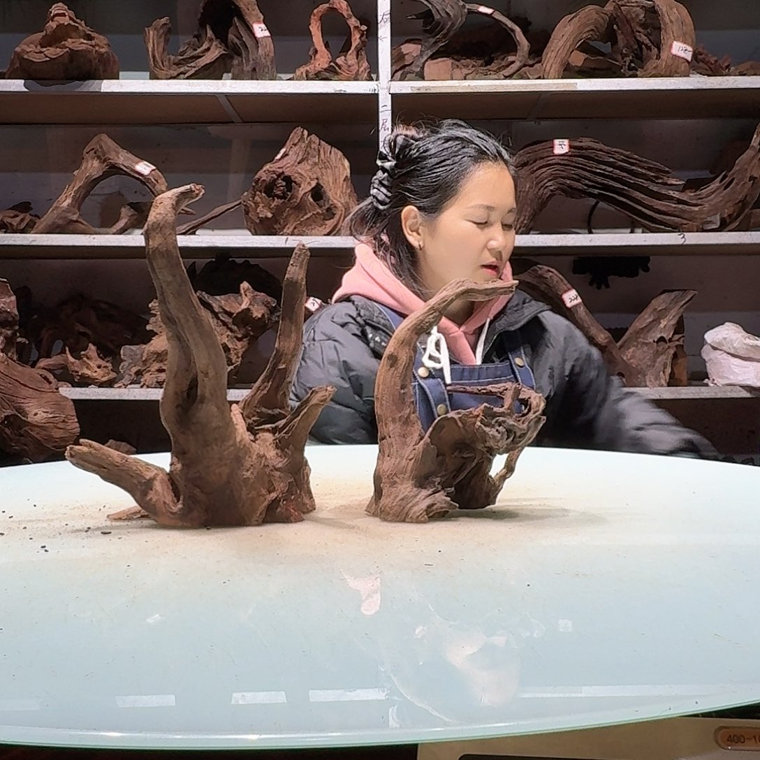 倍诸沉木不包损必褪色唐****院7084-2