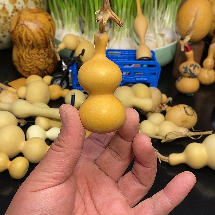 放*精品葫芦手把葫芦61