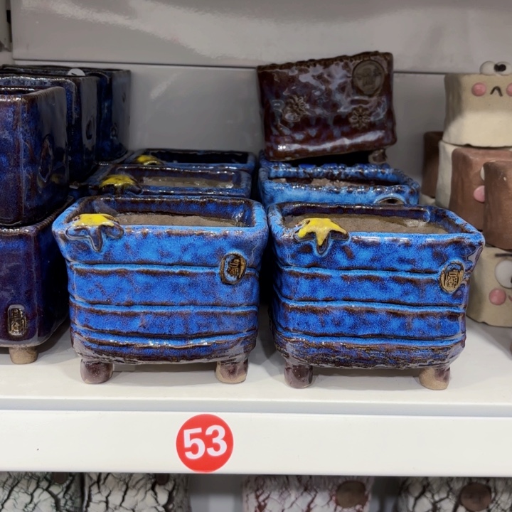 内长10宽8高9左右2个