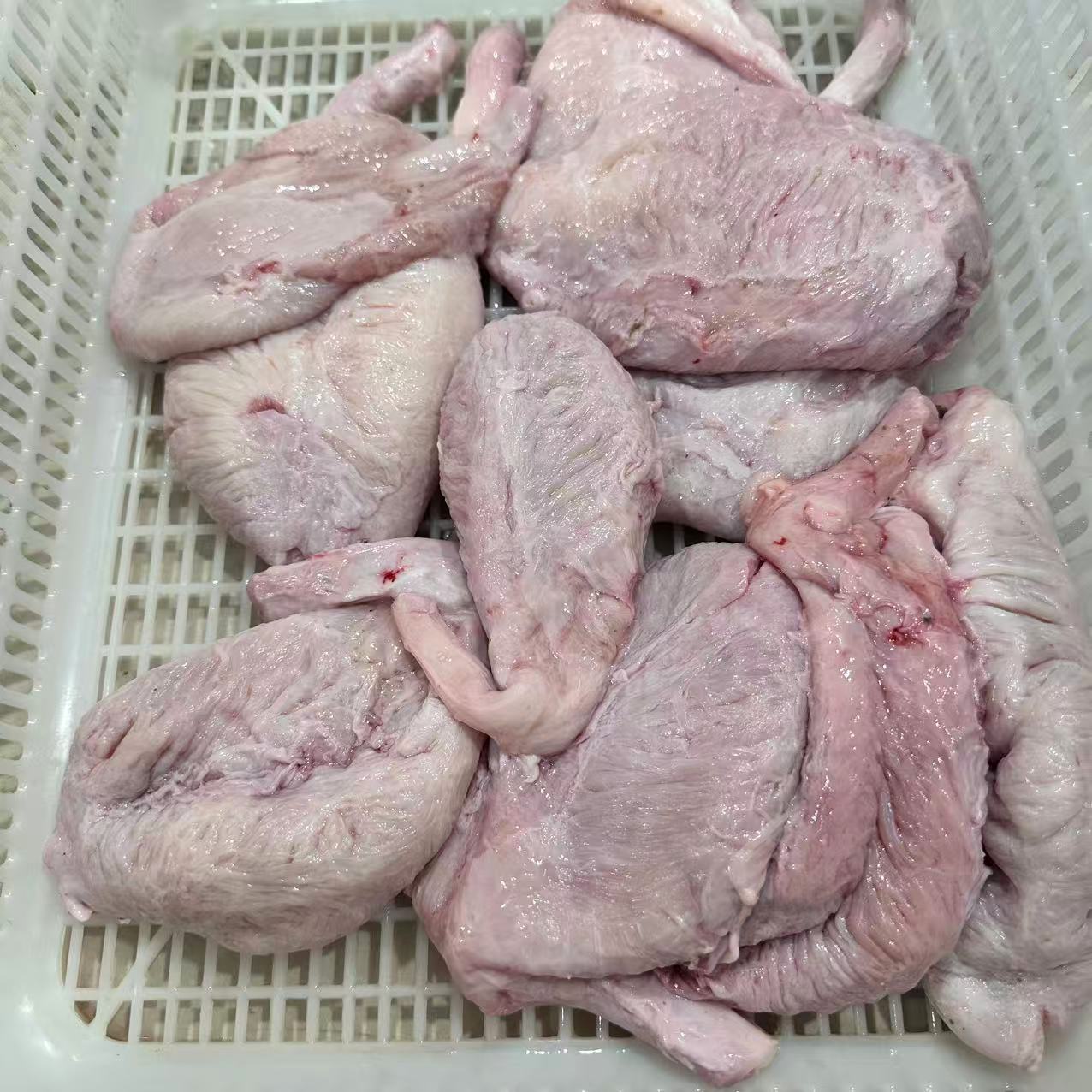 新鲜猪小肚肥肠直播卖货第一名