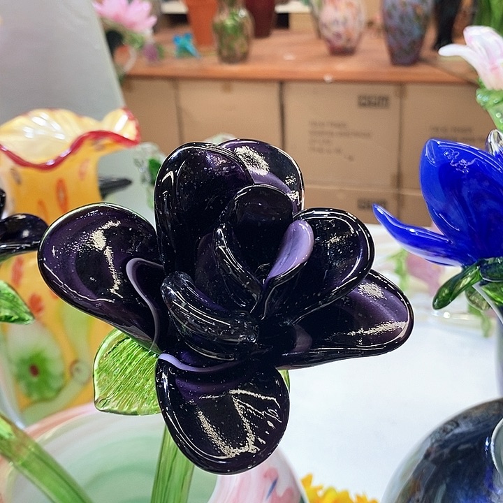 夜光花高45厘米宽12厘米