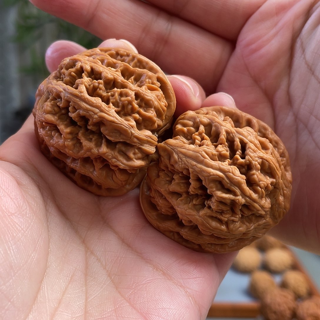 桃核把件45×43尺平谷大粗筋（尖部微微蹭）CN01163