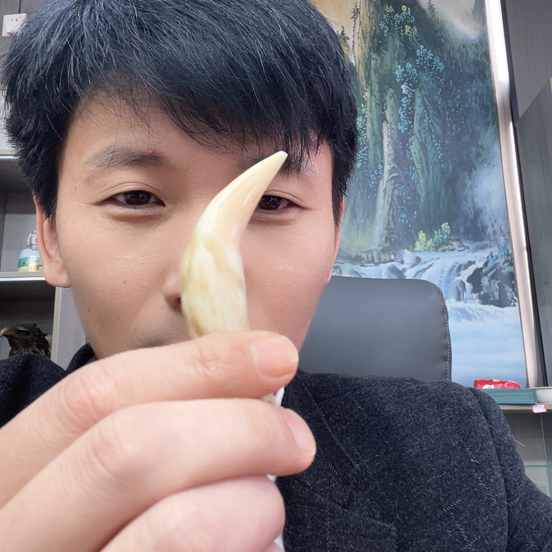 骆驼牙手串/手链骆驼牙1