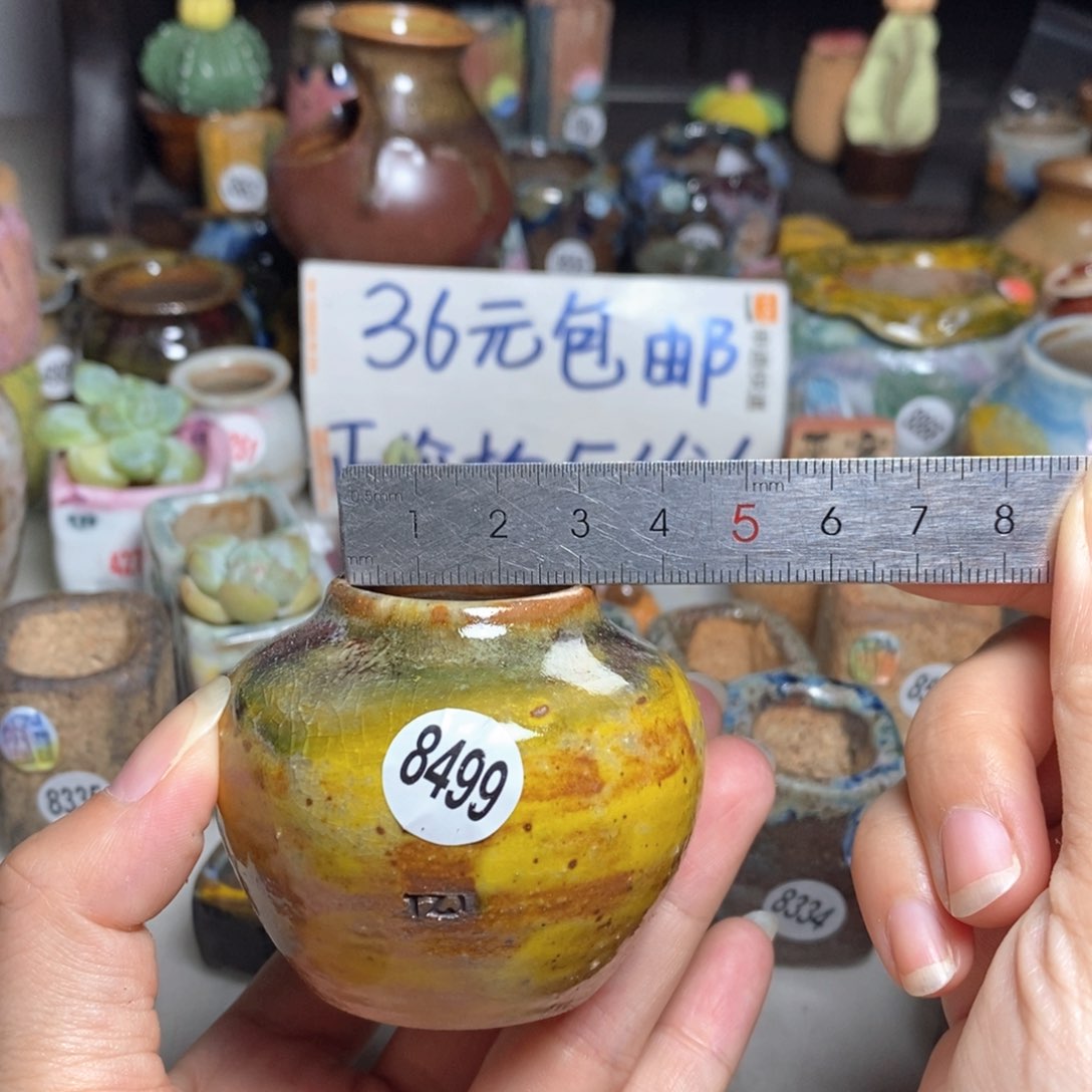拍5送一个小礼物