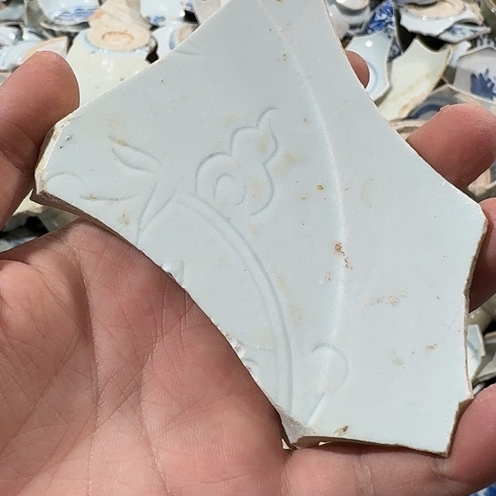 一***门瓷片瓷片标本，顺丰包邮