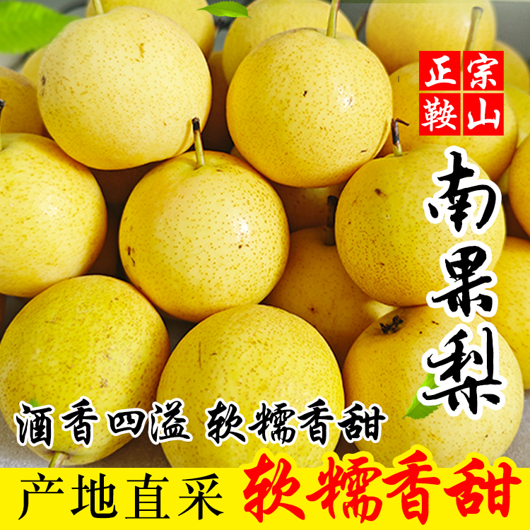 正宗鞍山南果梨薄皮细肉爽口多汁酒香浓郁九甜一酸软糯香甜包邮