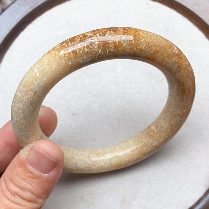 硅化珊瑚（珊瑚玉）手镯（开口镯）未镶嵌55.8骨骼