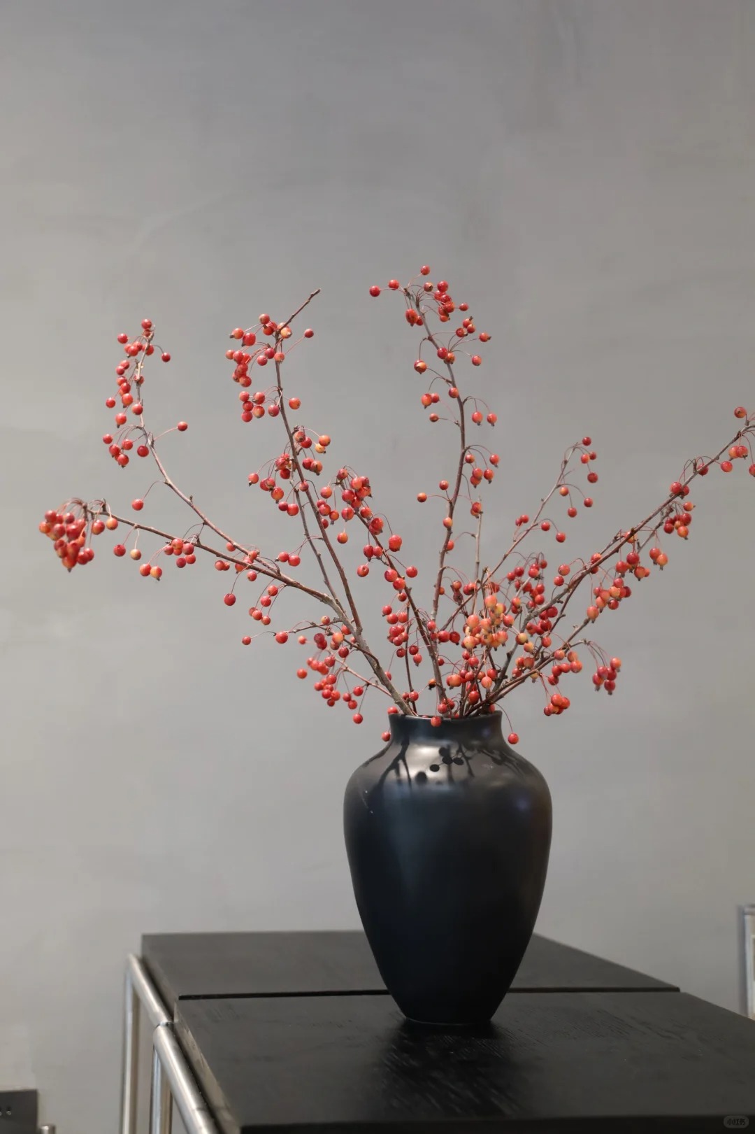 【悠哉生活】海棠果  新年花材 线条型花材 能干花