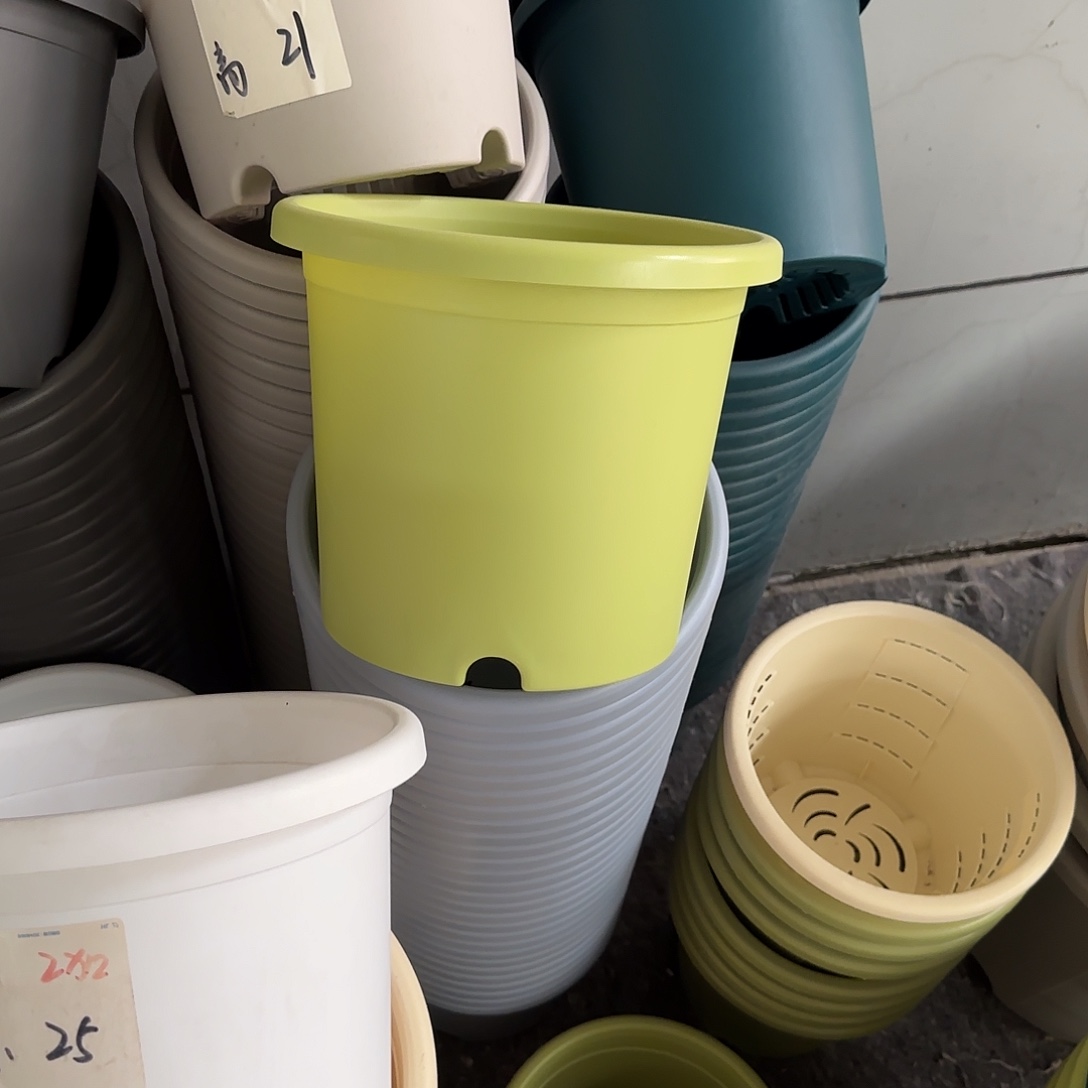 微瑕4号8个无托，果绿