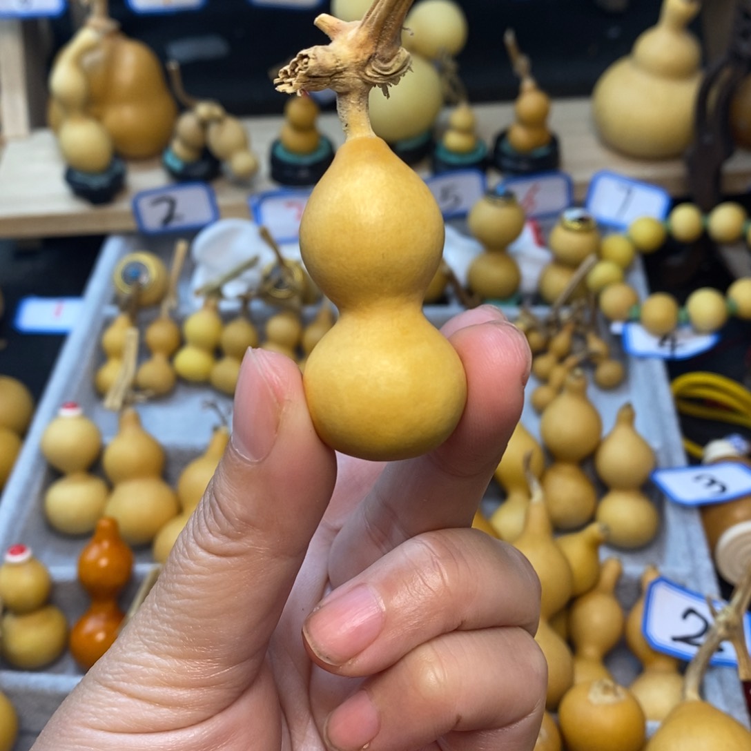 锋*直播间手把手小葫芦