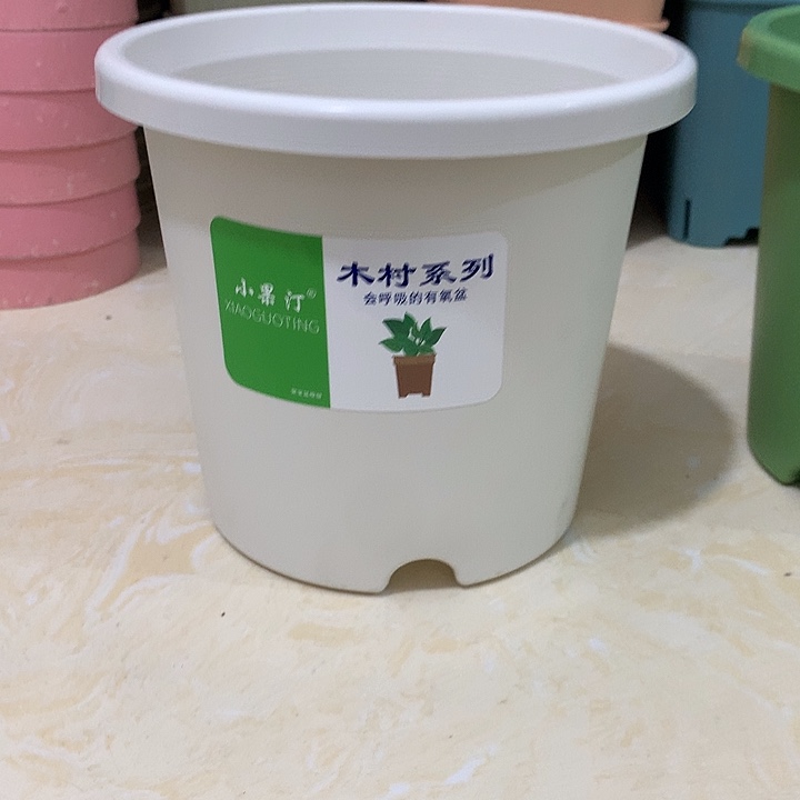 小果汀15口白10个