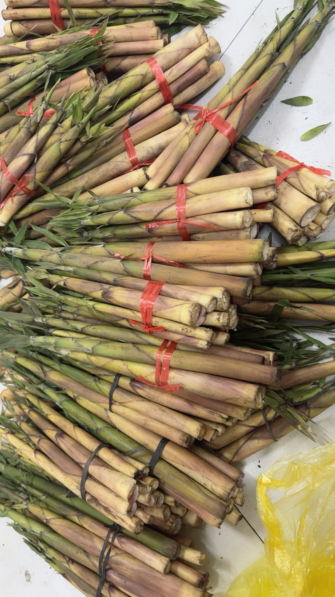 新鲜春笋带壳小苦竹笋农家现挖鲜嫩小笋时令生鲜