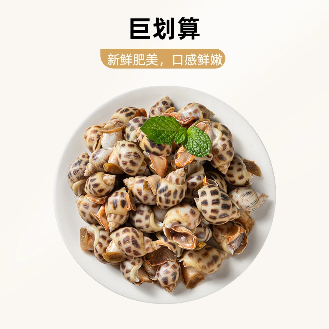 【拍2斤送2斤】鲜活速冻花螺新鲜海鲜螺类干净鲜甜急冻锁鲜无沙无水12/1【史情】