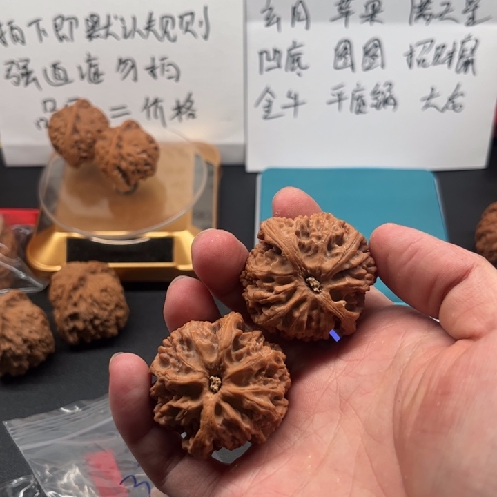 核桃苹果园………………