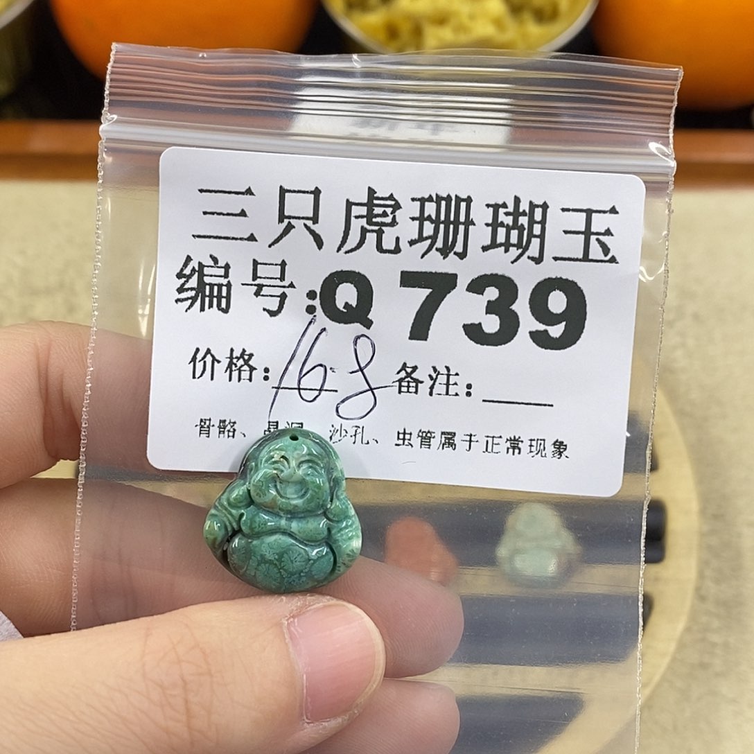 硅化珊瑚（珊瑚玉）1未镶嵌我****?