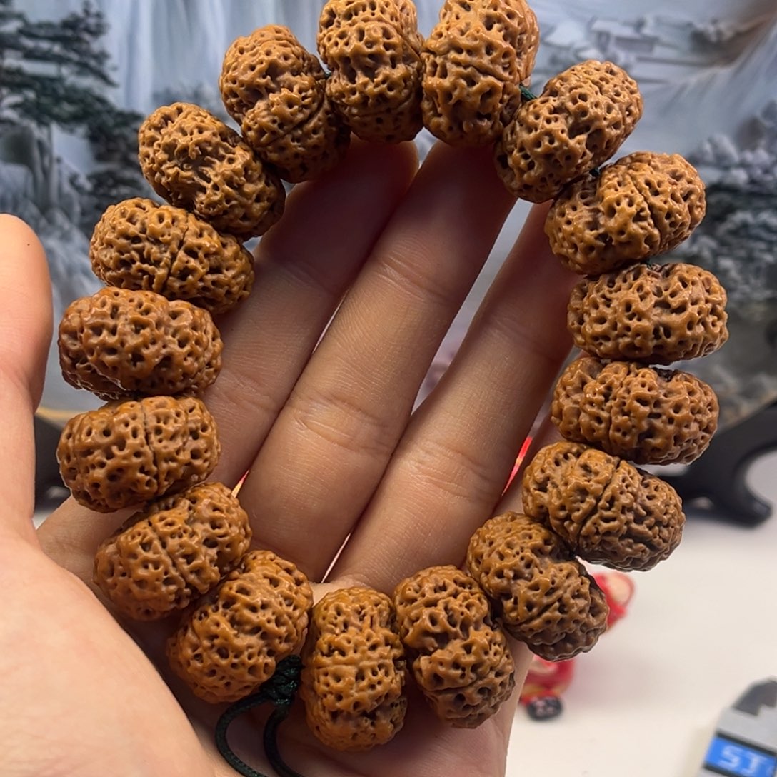 手串金刚菩提甲板20