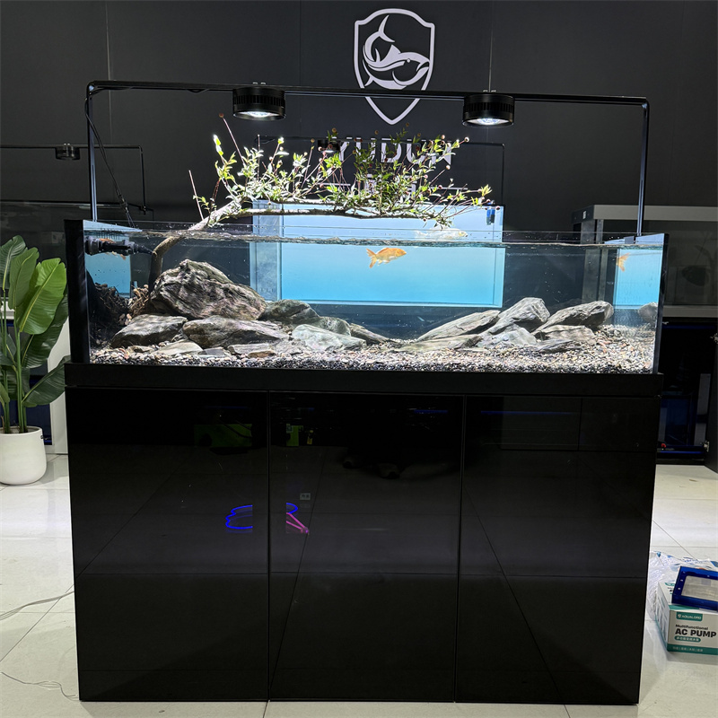 水刀蓝底滤极窄溪流缸金晶超白玻璃原生客厅鱼缸草缸兰寿缸南美缸